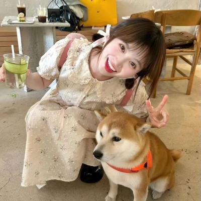 巴瑞第四季海报
